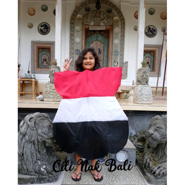 Layangan Celepuk Bali Burung Hantu Polos 1 Meter