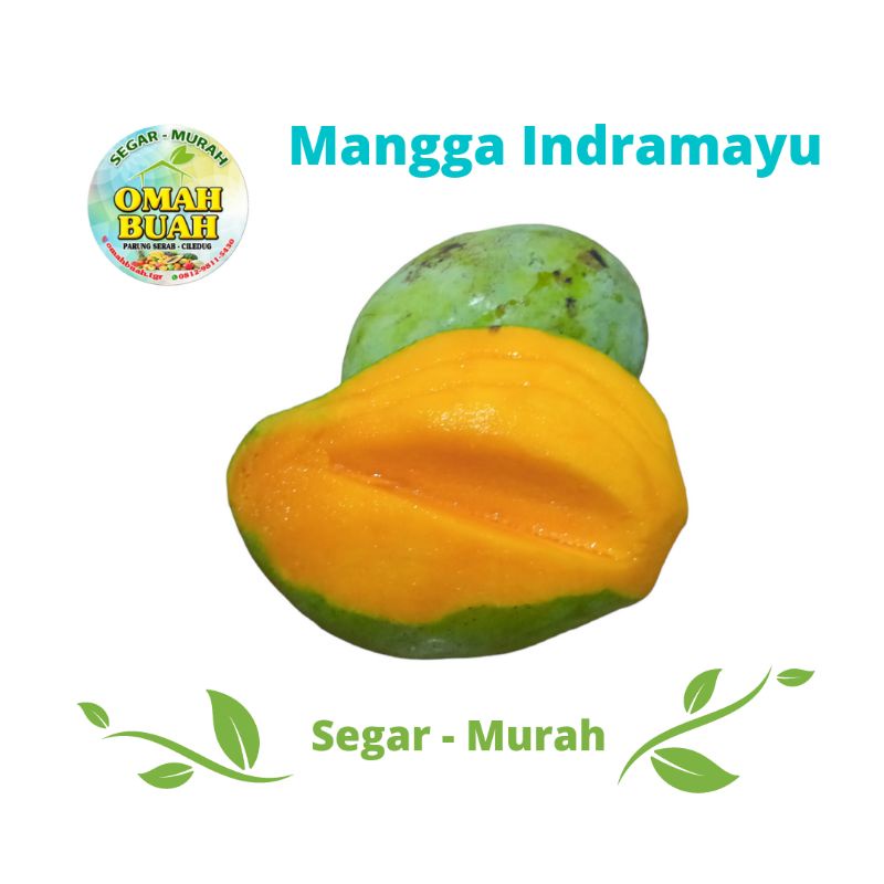 Mangga Indramayu