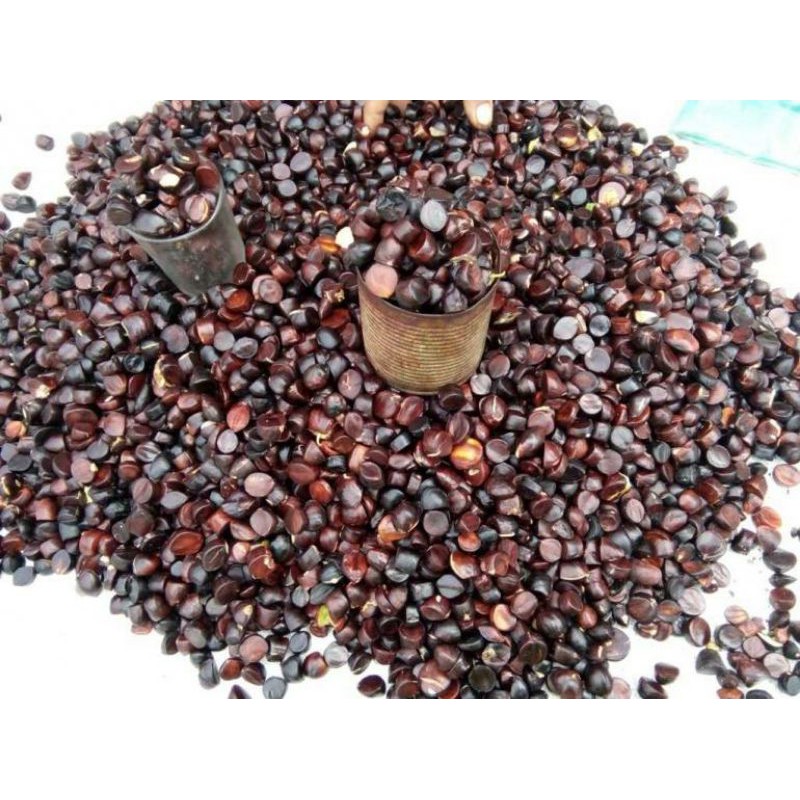 

Per 100 gram - Temannya Pete/ Jolang-Jaling/ Kabau/ (Archidendron microcarpum)