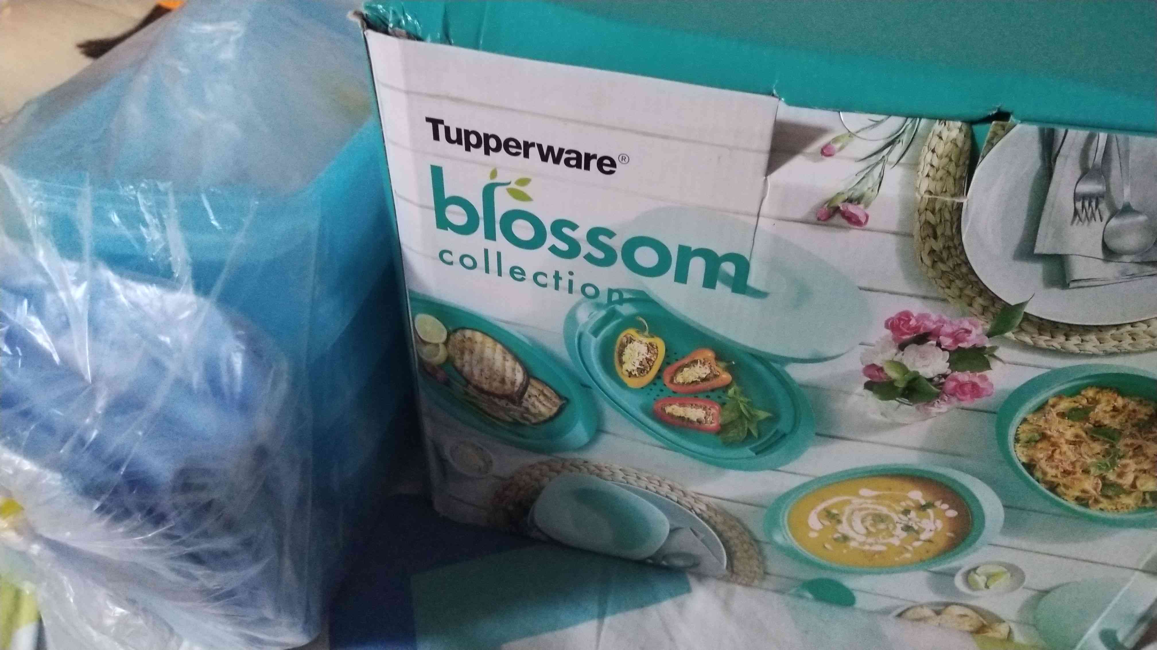 Freshia Coll Tanpa Free