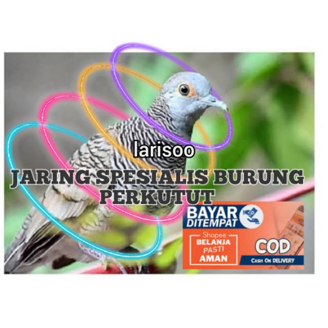 Burung Perkutut anda lepas jaring Burung perkutut kami solusinya Bahan kuat halus ulet seperti Arida