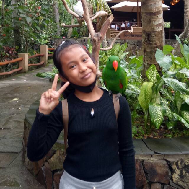 arinda10.