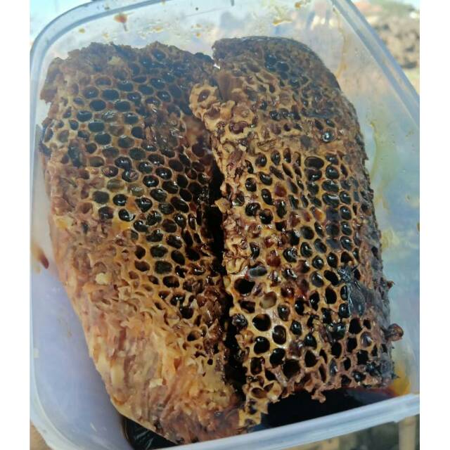 

Syifa Honey, Madu sarang hutan 500gr