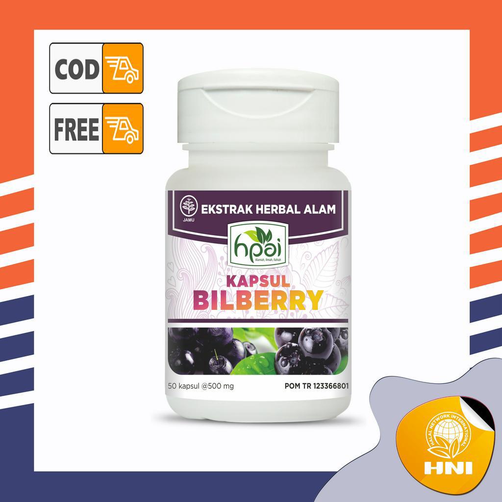 BILBERRY HNI HPAI 50kapsul