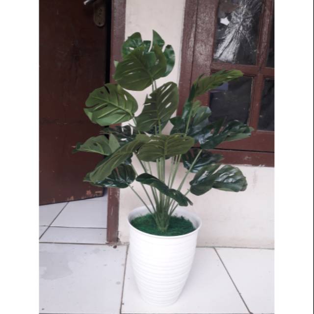 Set Pot Tanaman monstera  daun monstera  pohon plastik 