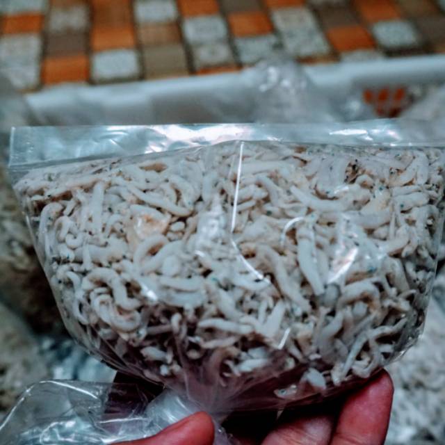 

Ikan teri Medan premium