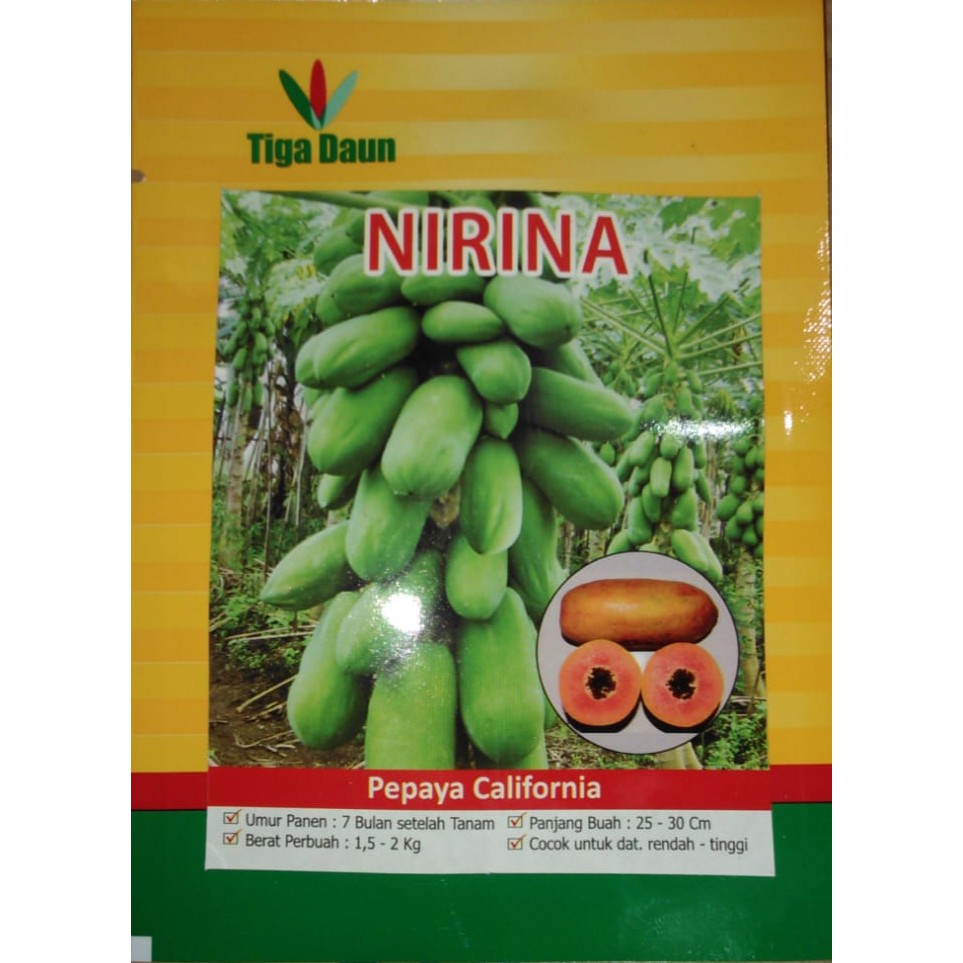 Pepaya California Nirina "Benih Tiga Daun"