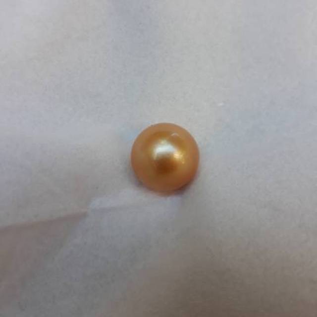 Mutiara air laut gold