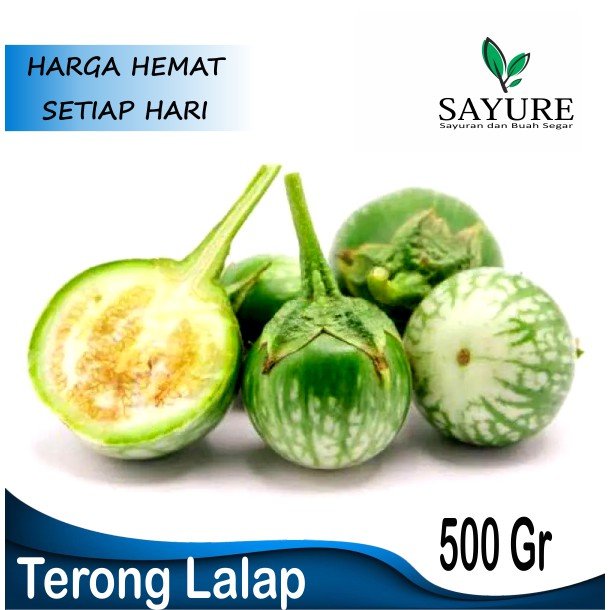 

TERONG LALAP TERONG HIJAU MURAH 500 GR