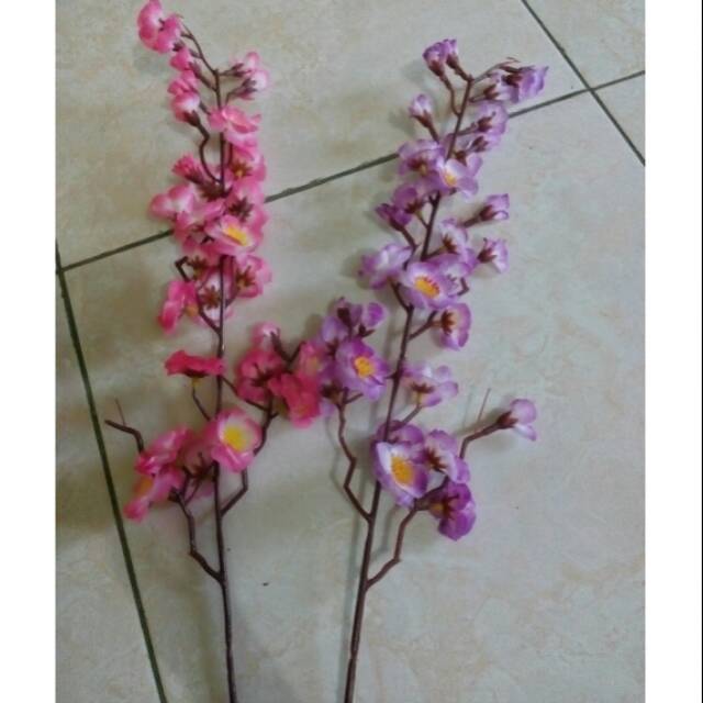 

Bunga sakura