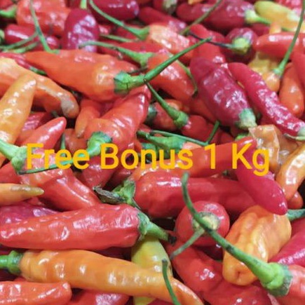 Cabe Rawit Merah | Cabe Rawi Setan 1 kg+ Gratis Bonus