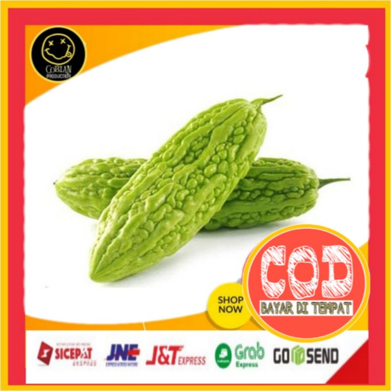 

Pare Paria 500g Sayuran Segar Sayuran Fresh Sayuran Organik Sayuran Online Sayuran Terlaris