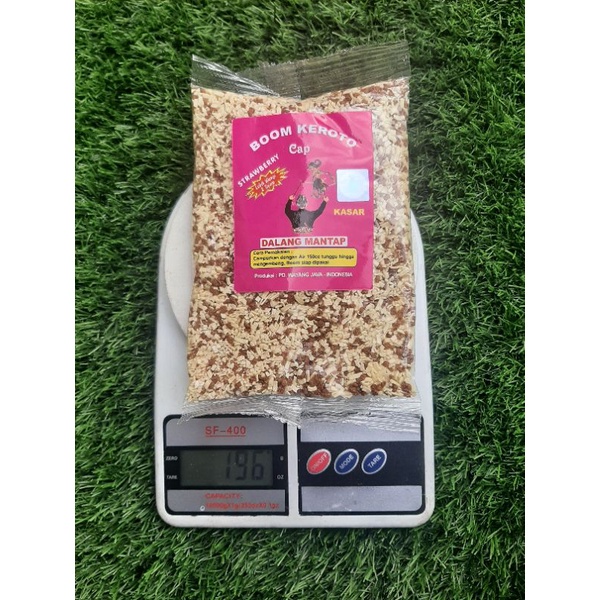 BOOM KROTO aroma STRAWBERRY KASAR dari Dalang Mantab