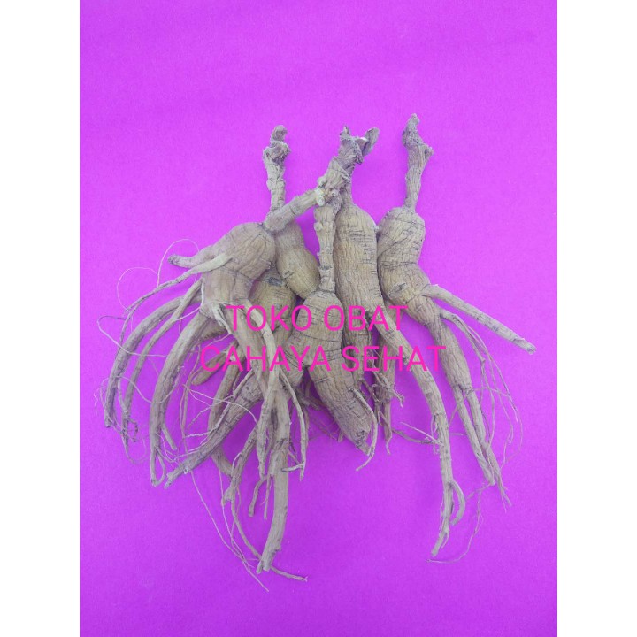 OBAT HERBAL GINSENG AMERIKA/YIU SIM/HUA QI SEN(STAMINA,NAFSU MAKAN)37g