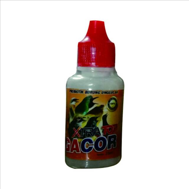 Obat burung semakin gacor