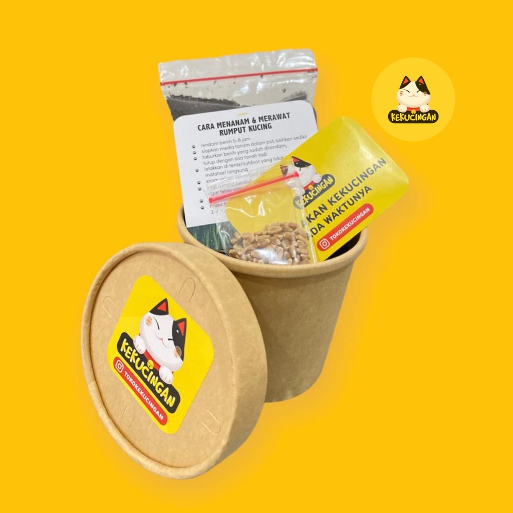 DIY CUP RUMPUT KUCING Paket Tanam Rumput Gandum Paper Cup 12 oz