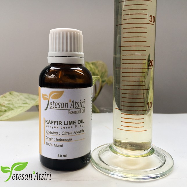 30ml minyak atsiri jeruk purut murni 100% kaffirlime pure essential oil 100% aromatherapy diffuser