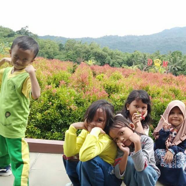 idamira12