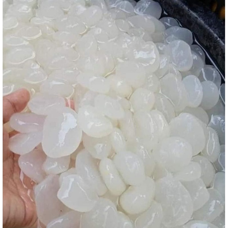 

KOLANG KALING FRESH 1kg/BUAH KOLANG KALING FRESH 1KG