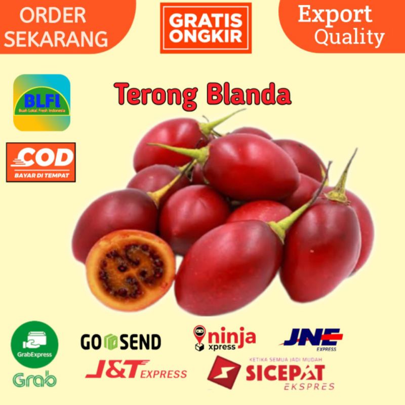 

BUAH TERONG BELANDA BUAH ASAM KAYA VITAMIN C