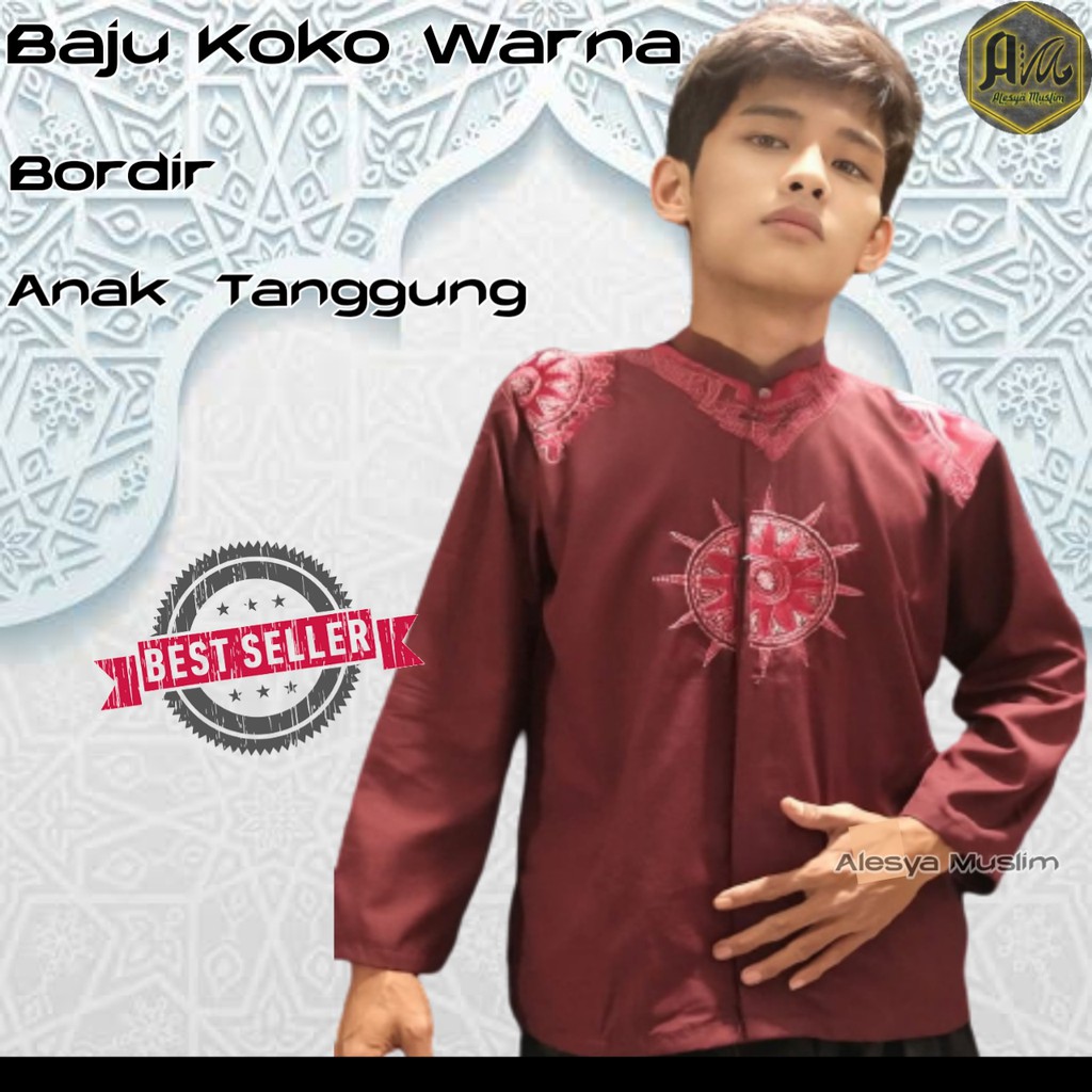 Baju Koko Remaja Katun/Harga Grosir/Best Seller/Bisa Bayar Di Tempat