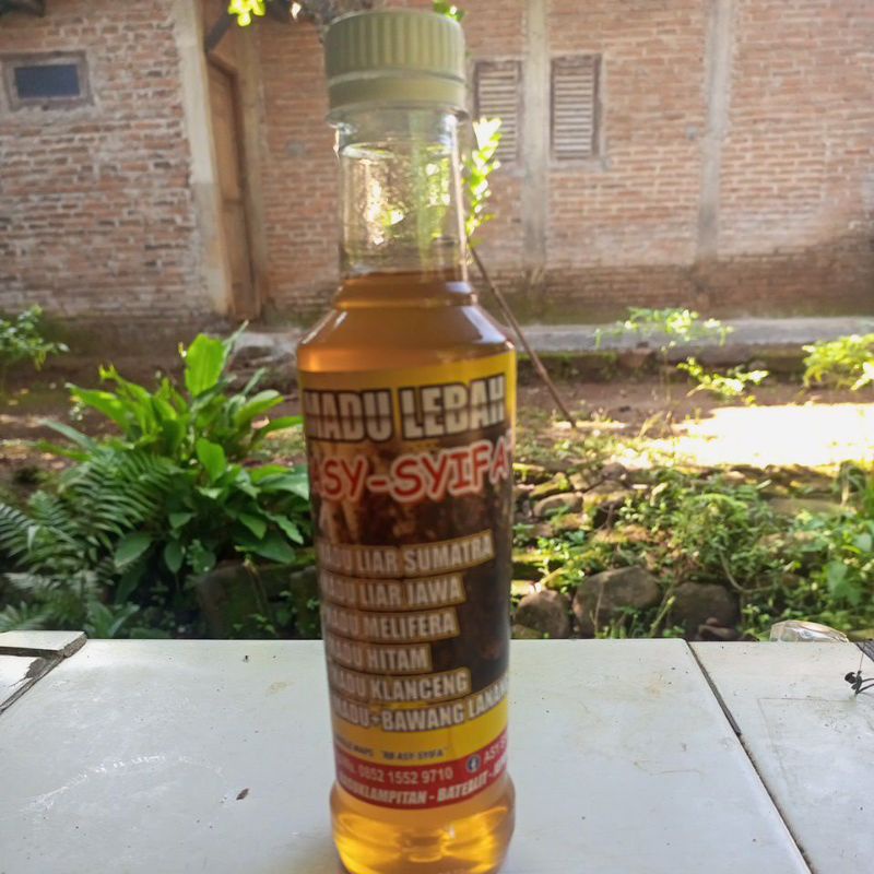 

madu kembang kopi