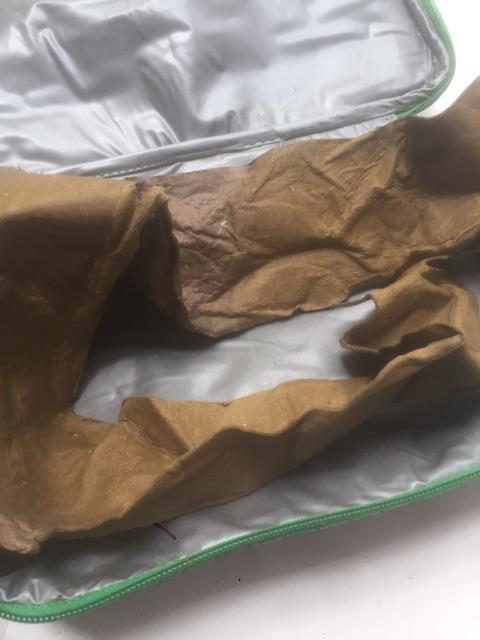 Tas Kotak Bekal Makan Insulated Lunch Bag Box Kid Teen Foodle Smiggle