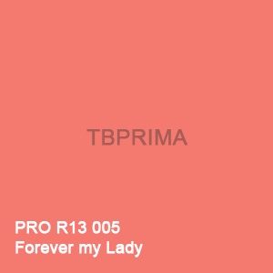 Cat Tembok Lenkote Aquamatt Tinting 5kg PRO R13 005 (Forever My Lady)