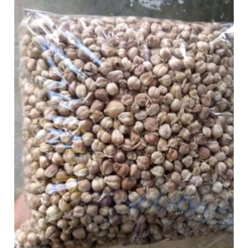 

biji kapulaga kering 1 kg