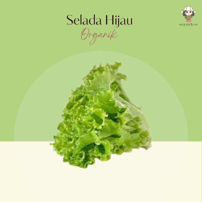 

Selada Hijau Organik 250gr