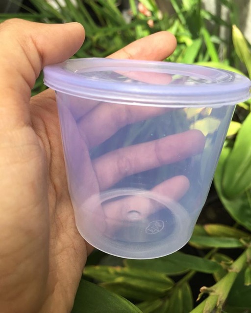 Cup Gelas 150cc Shopee Indonesia