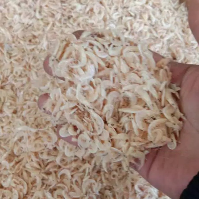 

Vs201Vv Udang Rebon 100 Gram Dscscv