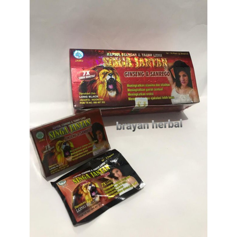 SINGA JANTAN ORIGINAL