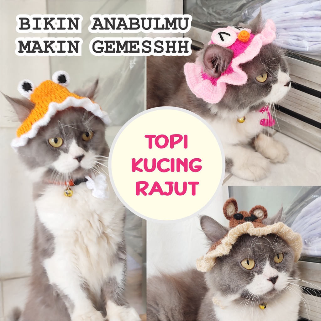 Topi Kucing Rajut Topi Kucing Topi Kucing Motif