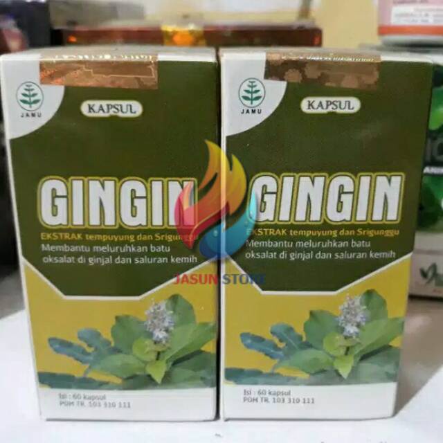 GINGIN Isi 60 Kapsul Obat Herbal  Meluruhkan Batu Ginjal