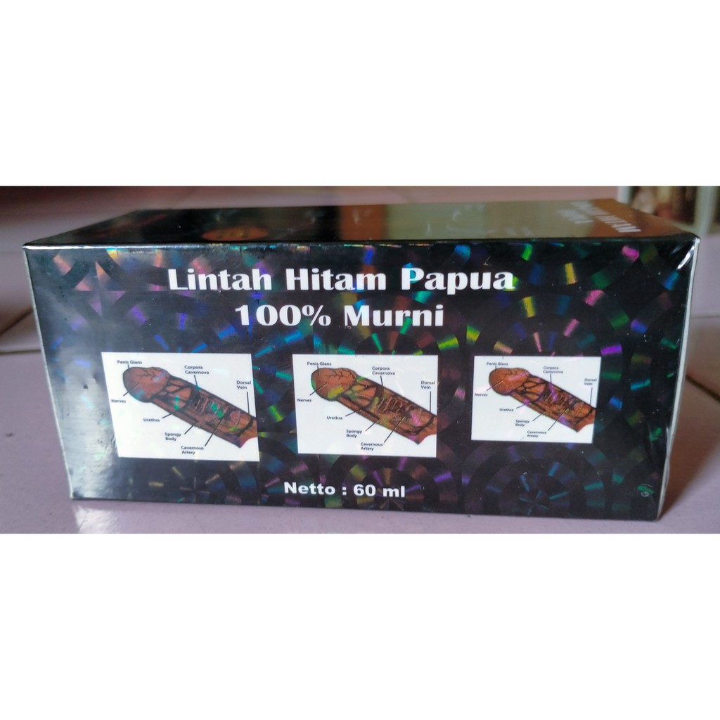 lintah hitam papua
