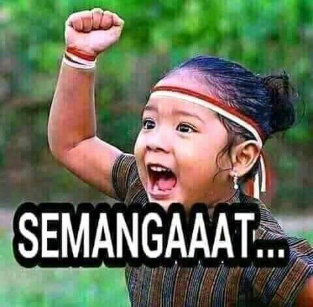 Octave 50wp Fungisida 250gr Untuk Layu Fusarium