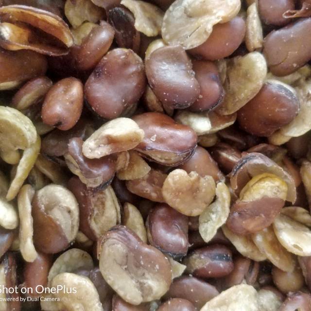 

Kacang Koro kulit @100gram