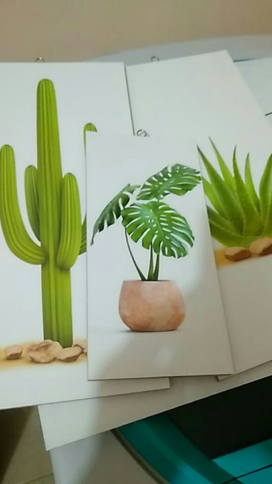 Hiasan Dinding Dekorasi Rumah Kamar Tropical Kaktus Leaf