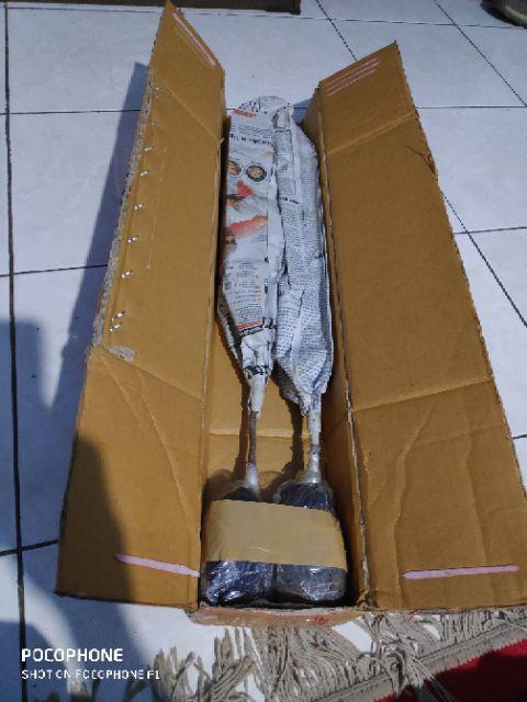 Jual Bibit Alpukat Wina