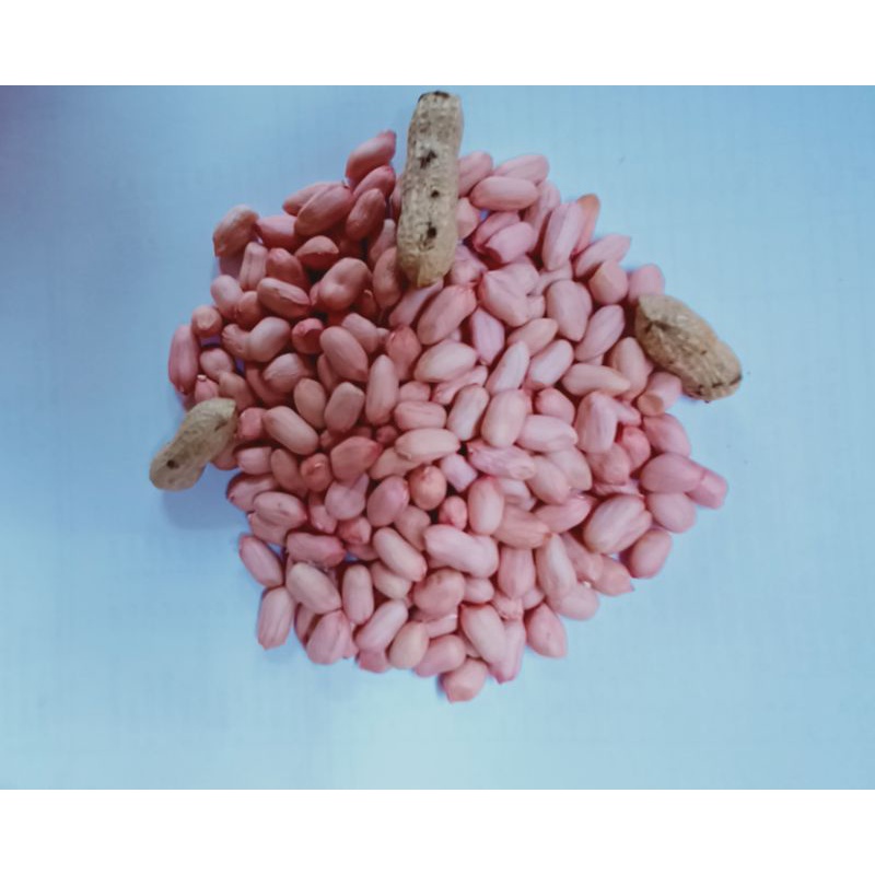 

Kacang Tanah Kupas Kualitas Terbaik 500g