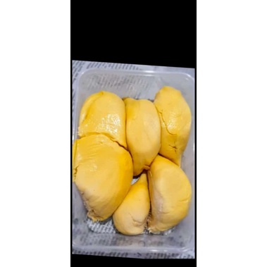 

Durian montong palu