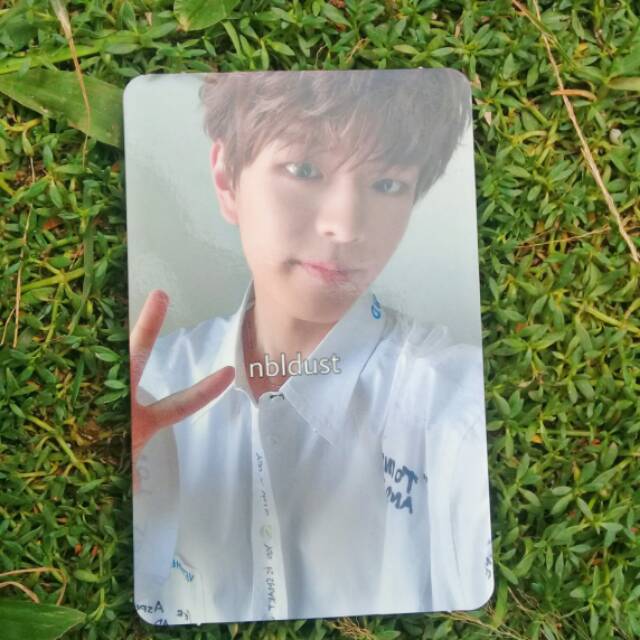 SEUNGMIN CLE 2: YELLOW WOOD ALBUM LIMITED PHOTOCARD