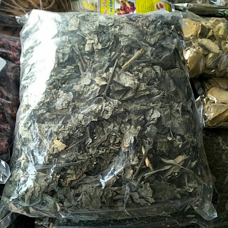 

daun pecah beling teah herbal untuk batu ginjal
