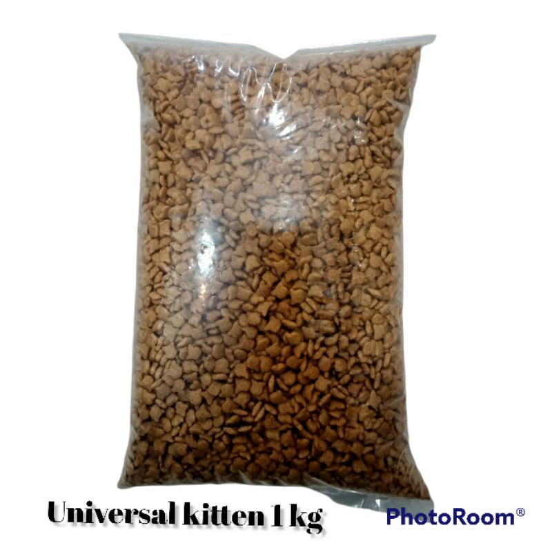 universal kitten