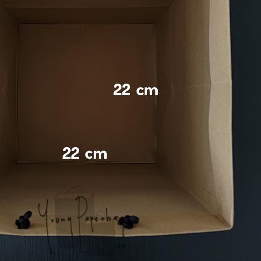 

✹ Paper Bag Kue/Nasi/Bento Box Polos Kraft Coklat 22 x 22 x 30 150GSM ←