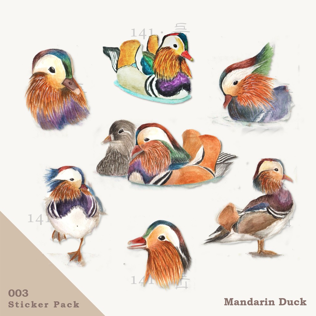 

[141-STU] Sticker Pack Mandarin Duck
