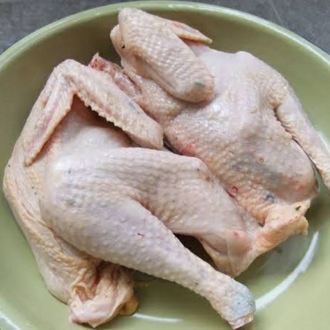 

AYAM KAMPUNG ORGANIK