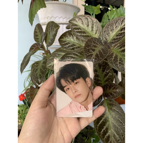 PC MANYO ASAHI E3 TREASURE MANYO EVENT 3 ASAHI