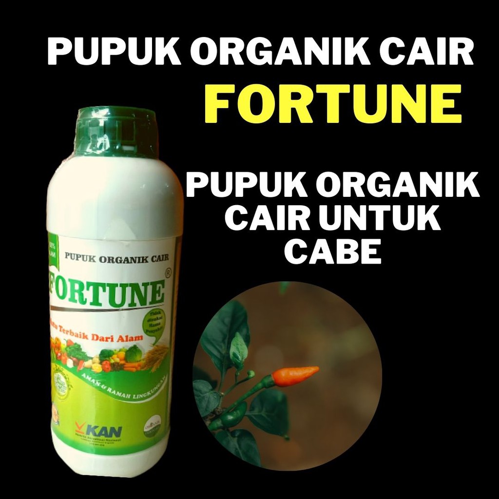 Pupuk Organik Cair Untuk Cabe, Nutrisi Untuk Tanaman Cabai Rawit